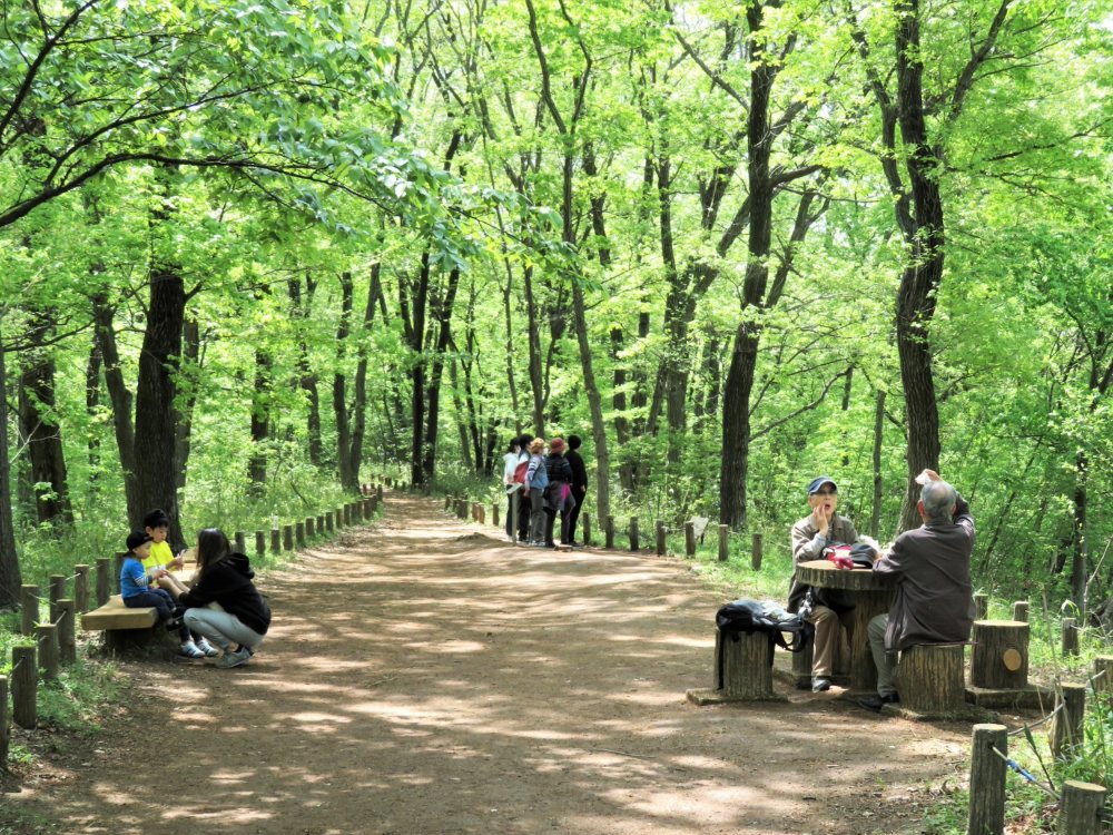 浅間山園内の風景