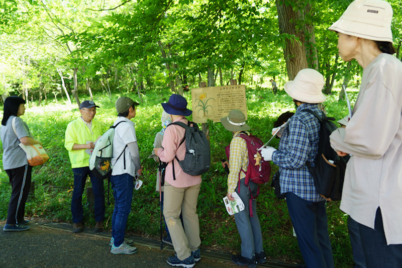 植物観察会